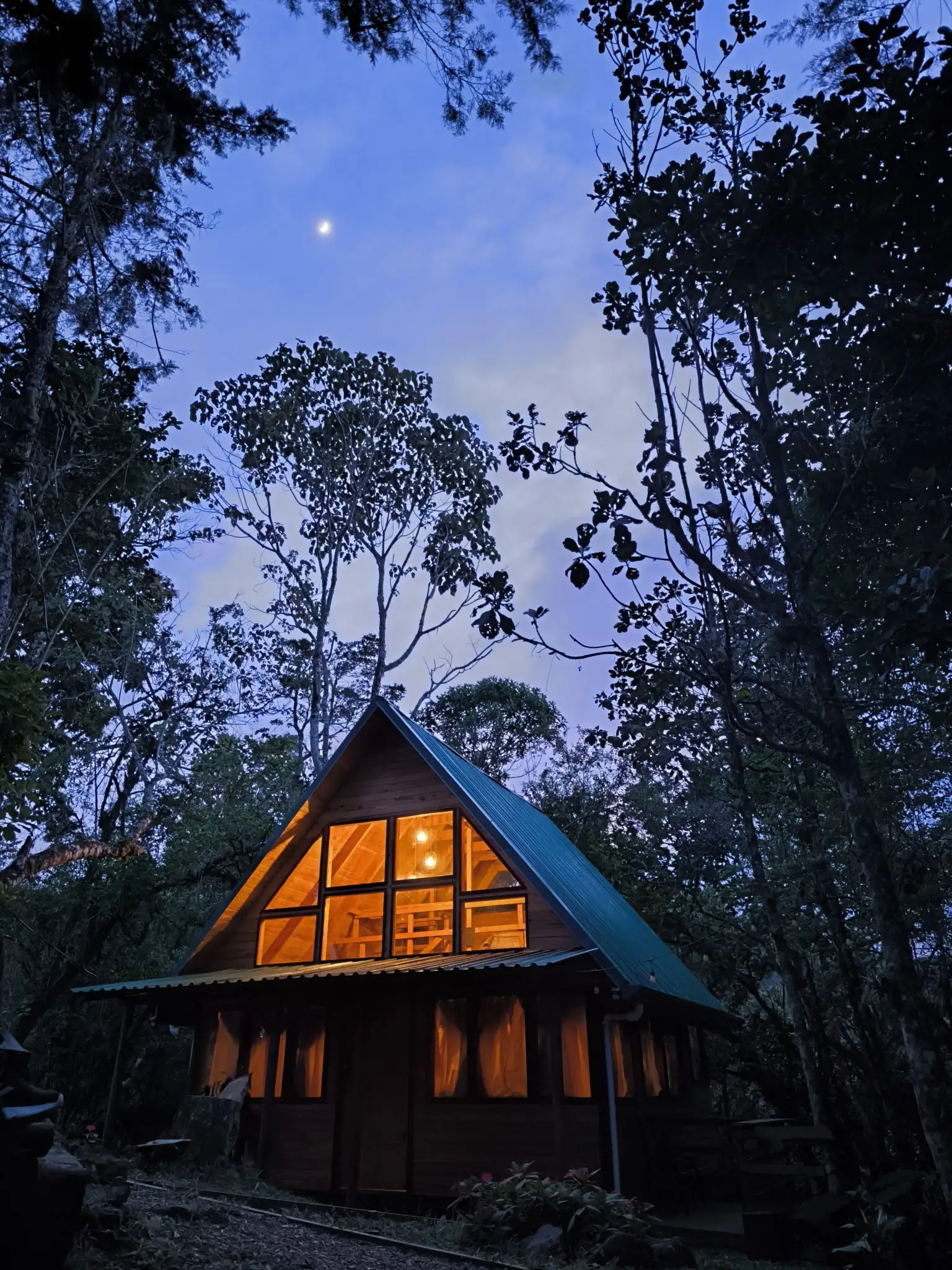 Cabane en bois illuminée au crépuscule, en pleine forêt