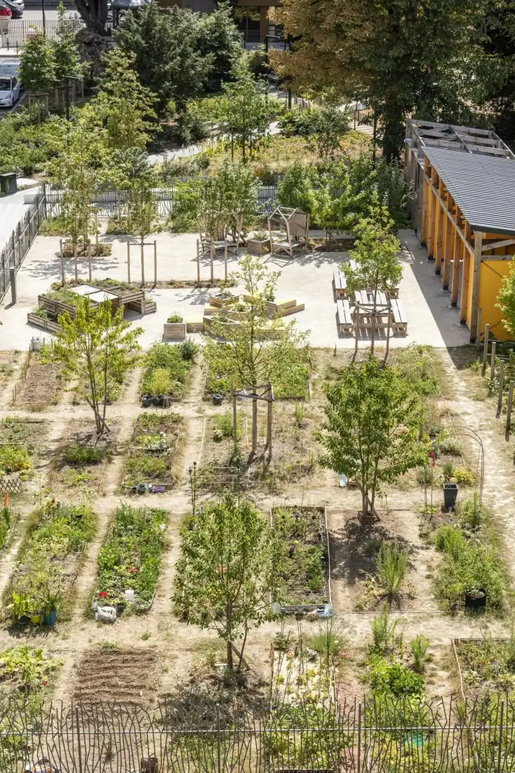 Jardin maraîcher entretenu collectivement